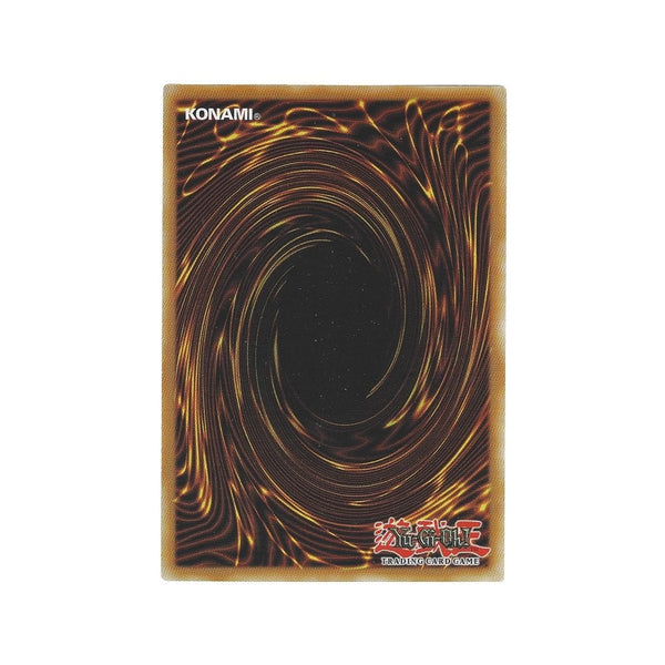 Yu-Gi-Oh! Dinowrestler Valeonyx - CHIM-EN007 Common 1st Edition (Chaos Impact Booster Pack) - View #8