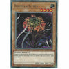 IGAS-EN027 Ibicella Lutea | 1st Edition | Rare Card YuGiOh Trading Card Game TCG