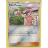 Pokemon Trading Card Game 204/236 Poké Maniac | Uncommon Reverse Holo Card | SM11 Unified Minds