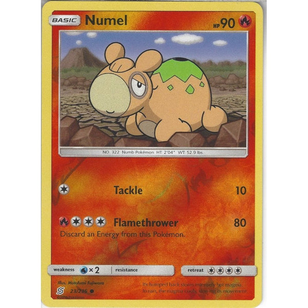 Pokemon Trading Card Game 23/236 Numel | Common Reverse Holo Card | SM11 Unified Minds