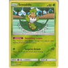 Pokemon Trading Card Game 7/236 Sewaddle | Common Reverse Holo Card | SM11 Unified Minds