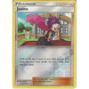 Pokemon Trading Card Game Janine - 176/214 - Uncommon Reverse Holo Card - SM10 Unbroken Bonds