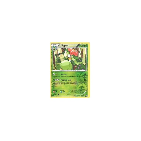 POKEMON Black &amp; White Boundaries Crossed Card: LILLIGANT 17/149 REV HOLO