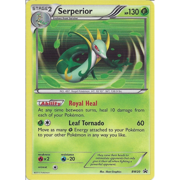 Pokemon Black &amp; White: SERPERIOR - BW20 PROMO - HOLO - BLACK STAR