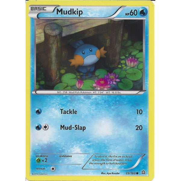 Pokemon MUDKIP 33/160 PROMO HOLO CARD - FROM THE COLLECTORS CHEST