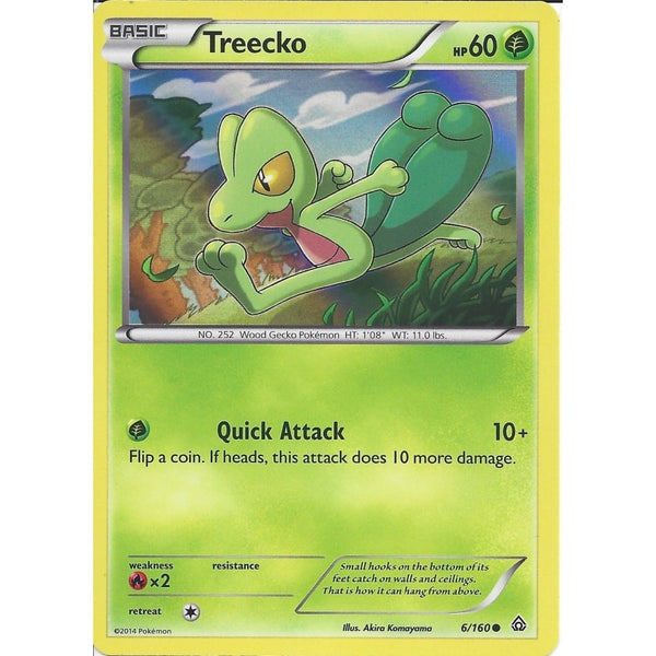 Pokemon TREECKO 6/160 PROMO HOLO CARD - FROM THE COLLECTORS CHEST