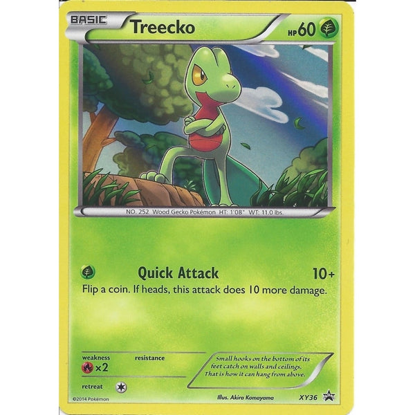 Pokemon TREECKO XY36 PROMO HOLO CARD - FROM THE HOENN COLLECTORS BOX