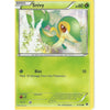 POKEMON XY FATES COLLIDE CARD - SNIVY 5/124