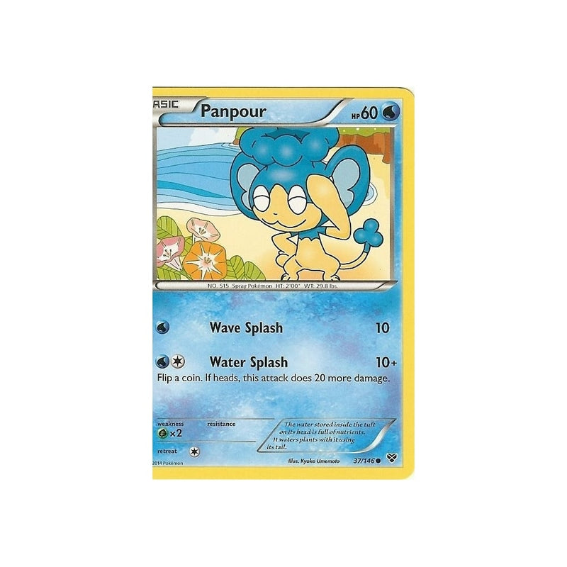 panpour pokemon card Pokemon XY - PANPOUR 37/146