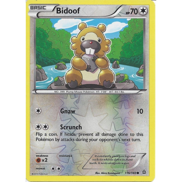 Pokemon XY PRIMAL CLASH - BIDOOF 116/160 REV HOLO