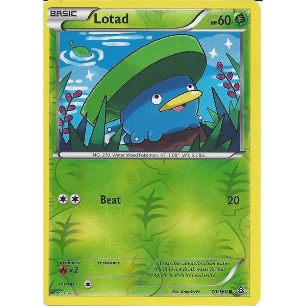 Pokemon XY PRIMAL CLASH - LOTAD 10/160 REV HOLO
