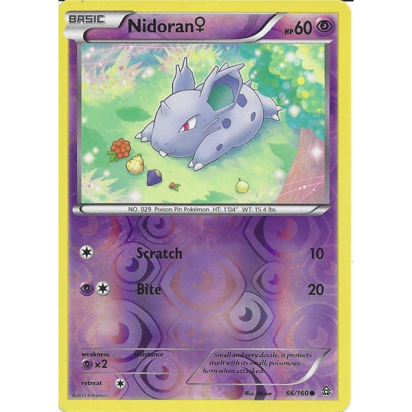 Pokemon XY PRIMAL CLASH - NIDORAN 66/160 REV HOLO