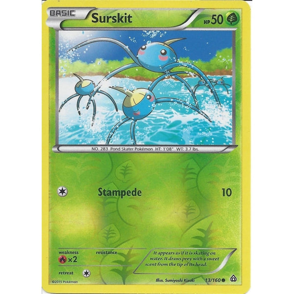 Pokemon XY PRIMAL CLASH - SURSKIT 13/160 REV HOLO