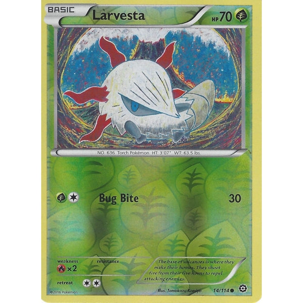 POKEMON XY STEAM SIEGE CARD - LARVESTA 14/114 REVERSE HOLO