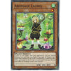 Yu-Gi-Oh! Trading Card Game CHIM-EN017 Aromage Laurel | 1st Edition | Common Card