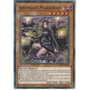 Yu-Gi-Oh! Trading Card Game CHIM-EN018 Aromage Marjoram | 1st Edition | Common Card