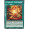 Yu-Gi-Oh! Trading Card Game CHIM-EN051 Salamangreat Burning Shell | 1st Edition | Common Card