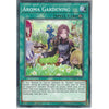 Yu-Gi-Oh! Trading Card Game CHIM-EN059 Aroma Gardening | 1st Edition | Common Card