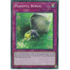 Yu-Gi-Oh! Trading Card Game CHIM-EN077 Peaceful Burial | 1st Edition | Super Rare Card