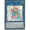Yu-Gi-Oh! Trading Card Game DUOV-EN020 Bloom Harmonist the Melodious Composer | 1st Edition | Ultra Rare Card