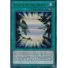 Yu-Gi-Oh! Trading Card Game DUSA-EN024 Legacy Of The Duelist | 1st Edition | Ultra Rare Card