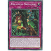 Yu-Gi-Oh! Trading Card Game LDS1-EN025 Amazoness Onslaught | 1st Edition | Common Card