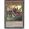 Yu-Gi-Oh! Trading Card Game LED5-EN024 Ascator, Dawnwalker | 1st Edition | Ultra Rare Card