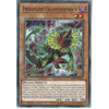 Yu-Gi-Oh! Trading Card Game LED5-EN051 Predaplant Chlamydosundew | 1st Edition | Common Card