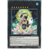 Yu-Gi-Oh! Trading Card Game MAGO-EN059 Number 87: Queen of the Night | 1st Edition | Rare Card