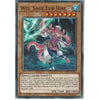 Yu-Gi-Oh! Trading Card Game MP19-EN252 Wiz, Sage Fur Hire | 1st Edition | Common Card