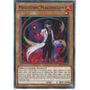 Yu-Gi-Oh! Trading Card Game RIRA-EN036 Megistric Maginician | Unlimited | Common Card