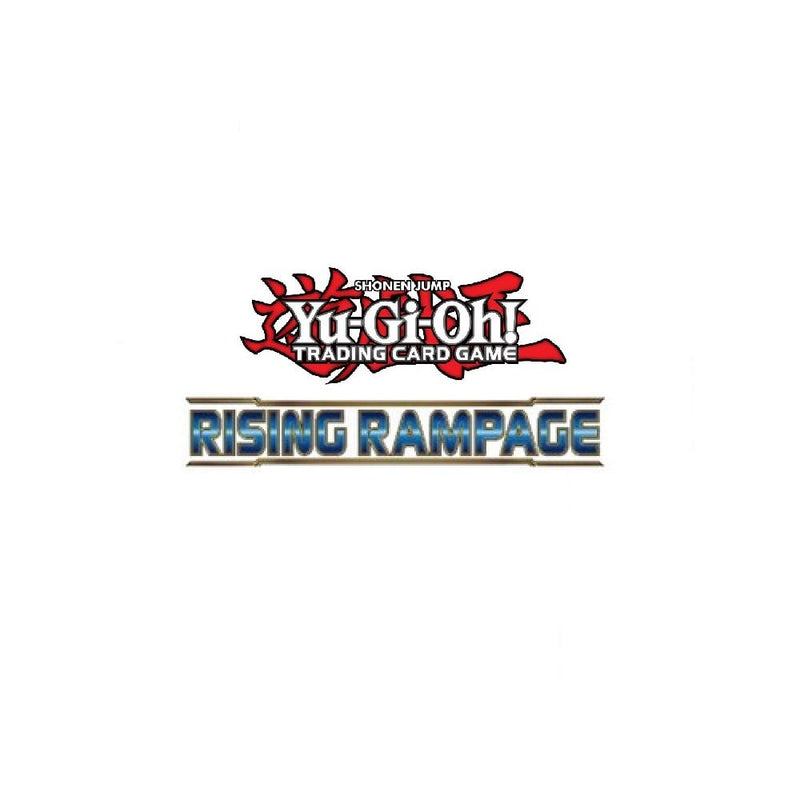 Yu-Gi-Oh! Blockout Curtain Card - RIRA-EN065 Common 1st Edition Rising Rampage