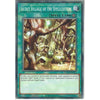 Yu-Gi-Oh! Trading Card Game SDCH-EN022 Secret Village of the Spellcasters | 1st Edition | Common Card