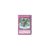Yu-Gi-Oh AEGIS OF THE OCEAN DRAGON LORD - SDRE-EN033 - 1st Edition
