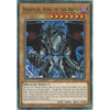 Yu-Gi-Oh DIABALOS, KING OF THE ABYSS - SR06-EN004 - Common Card - 1st Edition