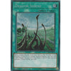 Yu-Gi-Oh DRAGON SHRINE - LCKC-EN075 - Secret Rare Card - 1st Edition