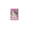 Yu-Gi-Oh GAGAGARUSH - REDU-EN067