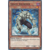 Yu-Gi-Oh GRAVE SQUIRMER - YS15-END11 - 1st Edition