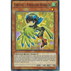 Yu-Gi-Oh LYRILUSC - TURQUOISE WARBLER - MACR-EN014