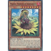 Yu-Gi-Oh MARINA, PRINCESS OF SUNFLOWERS - Super Rare - MP14-EN157 - 1st Edition