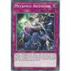 Yu-Gi-Oh METAPHYS ASCENSION - CYHO-EN076 - Common Card - 1st Edition