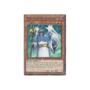 Yu-Gi-Oh MIMIR OF THE NORDIC ASCENDANT - LC5D-EN185 - 1st Edition