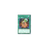Yu-Gi-Oh Rare Card: FOOLISH RETURN - STOR-EN058