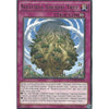 Yu-Gi-Oh Rare Card: NATURIA SACRED TREE - NECH-EN076