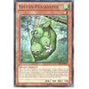 Yu-Gi-Oh Rare Card: SYLVAN PEASKEEPER - LVAL-EN015