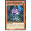 Yu-Gi-Oh Rare Card: SYLVAN SNAPDRASSINAGON - PRIO-EN019 - 1st Edition