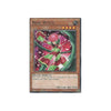 Yu-Gi-Oh ROSE WITCH - LC5D-EN097 - 1st Edition