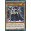 Yu-Gi-Oh Terrifying Toddler of Torment - CYHO-EN022 - Common Card