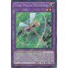 Yu-Gi-Oh TIME MAGIC HAMMER - Secret Rare - DRL2-EN009 - 1st Edition